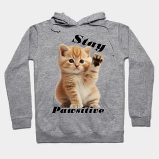 Kitty Says Stay Pawsitive, Cute Kitten Postive Feels Hoodie